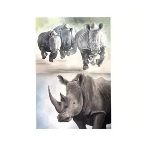 Postcard Set of 2 Rhino Prints