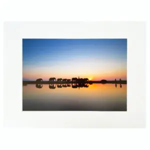 Fine Art Print Sunset Blue 30x40 cm - Jabulani Elephants