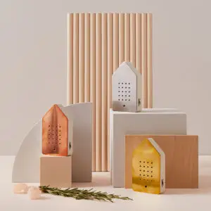 Birdy Box - Different Versions Available